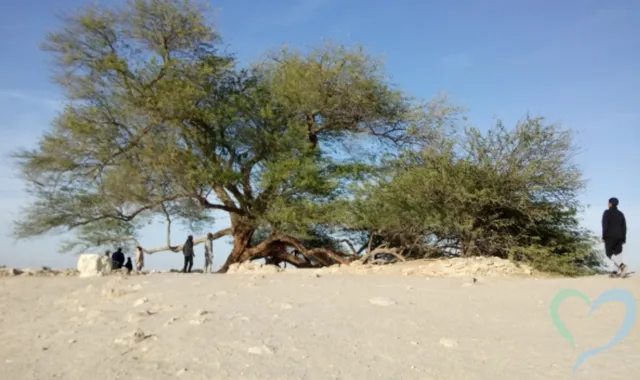 バーレーンで人探しは困難？大切な人を見つける方法とは？